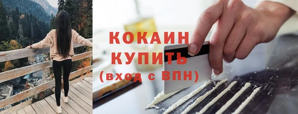спайс Кулебаки