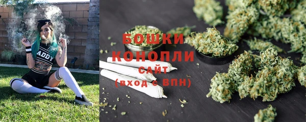 спайс Кулебаки