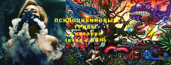 спайс Кулебаки