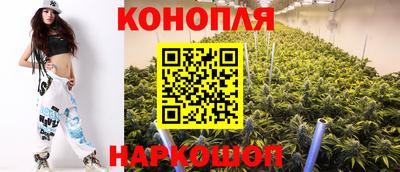 a pvp Гагарин