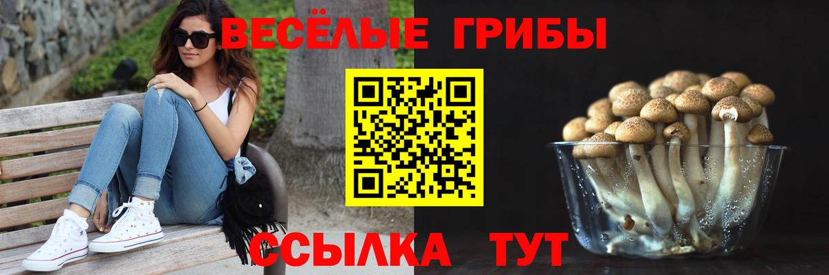Лесозаводск  Псилоцибиновые грибы мицелий  Вход с VPN 